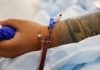 US allows emergency use of blood plasma treatment for coronavirus patients