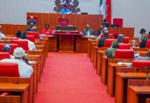 Senate confirms Kingsley Ude from Enugu State as Minister